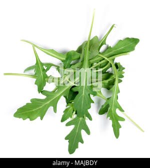 Frische Rucola oder rauke Blätter, auf weißem Hintergrund. Rucola Salat. Stockfoto