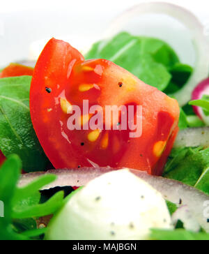 Gourmet Salat oder frisches Caprese Salat mit Tomaten, roten Zwiebeln, Rucola und Mozzarella auf einem weißen Teller. Nahaufnahme von frischen Salat. Stockfoto