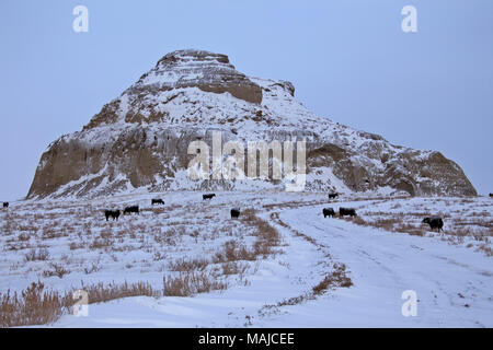 Winter scene Saskatchewan Badlands Big Muddy Tal Stockfoto