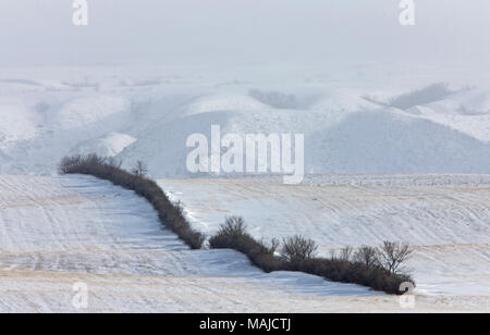 Winter scene Saskatchewan Badlands Big Muddy Tal Stockfoto