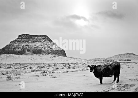 Winter scene Saskatchewan Badlands Big Muddy Tal Stockfoto