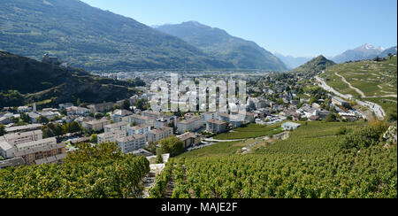 Die Stadt Sion und Weinbergen an den Kanten, von der Swiss Wine Trail gesehen, im oberen Rhonetal, Kanton Wallis, Schweiz. Stockfoto