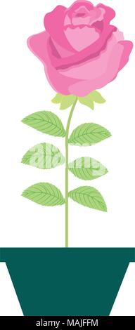 Blume Rose in einem Topf dekorative Vector Illustration Design Stock Vektor