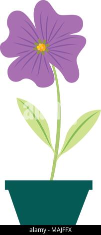 Blume Immergrün im Topf dekorative Vector Illustration Design Stock Vektor