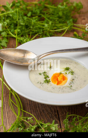 Frischer Kerbel Suppe in einer Schüssel auf Holz Stockfoto