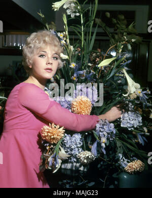 LINDA THORSON Canandian Film- und TV-Schauspielerin in 1968 beim Erscheinen als Tara King in der TV-Serie The Avengers. Foto: Tony Gale Stockfoto