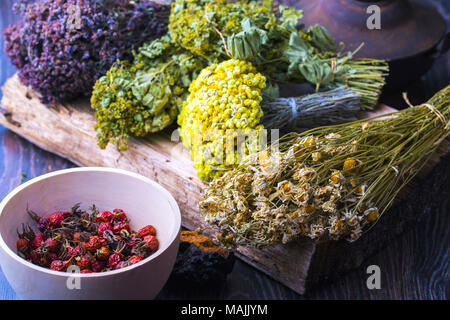 Heilpflanzen und Kräutern Zusammensetzung Konzept - Folk oder Alternative Medizin Stockfoto
