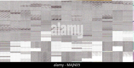 Militärische Pass von Johannes Wharton, Gewährung von Wharton Erlaubnis Demopolis, Alabama, Seite eins, 1863-08-03 besuchen. Bürgerkrieg Sammlung, Missouri History Museum, St. Louis, Missouri. Stockfoto