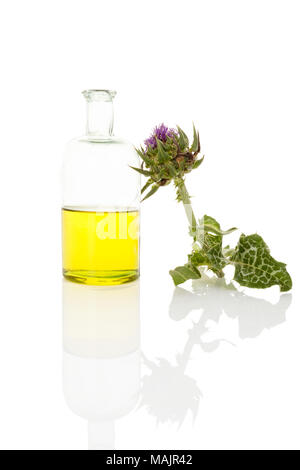 Mariendistel öl in Glas Glas mit mariendistel Blume auf weißem Hintergrund zu extrahieren. Gesunde Heilpflanze. Stockfoto