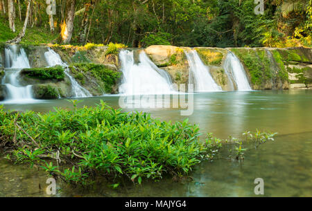 San Antonio Wasserfall in Toledo Belize von üppigen grünen Dschungel umgeben Stockfoto