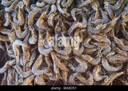 Schließen Sie herauf frische Garnelen, frische Garnelen und Meeresfrüchte liegen auf dem Tisch. Stockfoto