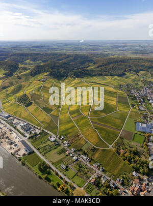 Weinbaugebiet Mosel, Weinberge, Wellenstein, Saarland, Grevenmacher, Luxemburg, Europa, Luftaufnahme, Vögel-Augen-blick, Luftaufnahme, Aerial photog Stockfoto