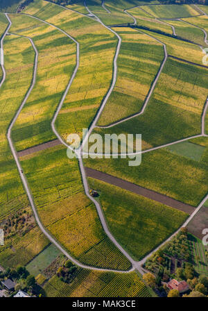 Weinbaugebiet Mosel, Weinberge, Wellenstein, Saarland, Grevenmacher, Luxemburg, Europa, Luftaufnahme, Vögel-Augen-blick, Luftaufnahme, Aerial photog Stockfoto