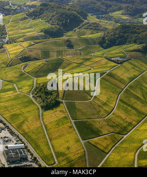 Weinbaugebiet Mosel, Weinberge, Wellenstein, Saarland, Grevenmacher, Luxemburg, Europa, Luftaufnahme, Vögel-Augen-blick, Luftaufnahme, Aerial photog Stockfoto