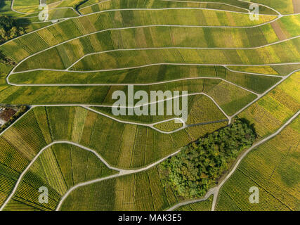 Weinbaugebiet Mosel, Weinberge, Wellenstein, Saarland, Grevenmacher, Luxemburg, Europa, Luftaufnahme, Vögel-Augen-blick, Luftaufnahme, Aerial photog Stockfoto