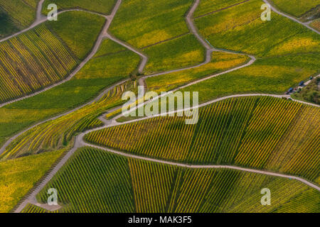 Weinbaugebiet Mosel, Weinberge, Wellenstein, Saarland, Grevenmacher, Luxemburg, Europa, Luftaufnahme, Vögel-Augen-blick, Luftaufnahme, Aerial photog Stockfoto