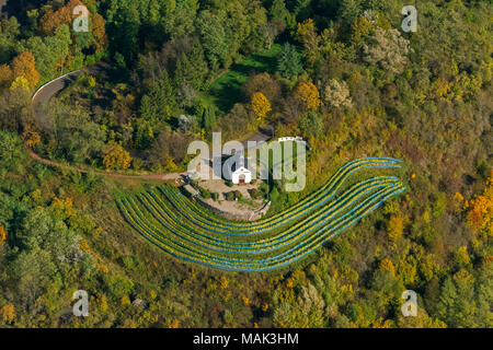 Luftaufnahme, kleine Kapelle am Ellerweg inmitten der Weinberge, Herbst, Herbstlaub, Goldener Oktober, Indian Summer, Merzig, Saarland, Deutschland, Stockfoto