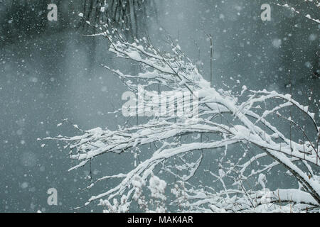 Eine verschneite Winterlandschaft in New England Stockfoto