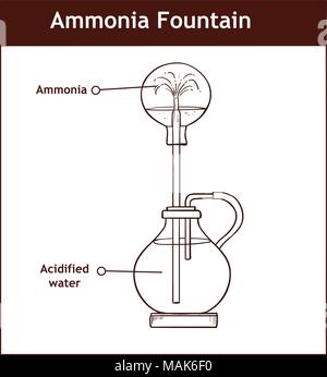 Ammoniak Brunnen Experiment die Löslichkeit von Ammoniak zu demonstrieren. Vollständig beschrifteten Diagramm Stock Vektor