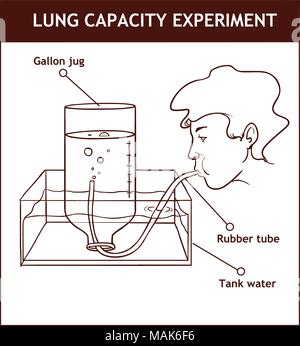 Vector Illustration eines Lungenkapazität Experiment Stock Vektor