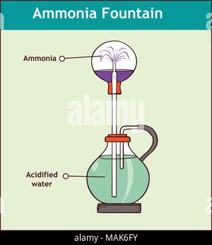 Ammoniak Brunnen Experiment die Löslichkeit von Ammoniak zu demonstrieren. Vollständig beschrifteten Diagramm Stock Vektor