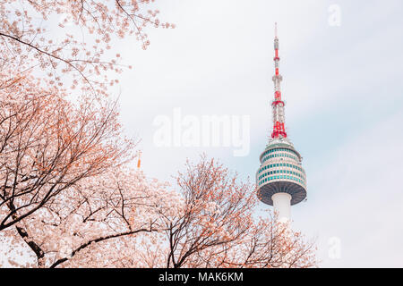 Namsan Seoul Tower mit Kirschblüten in Korea Stockfoto