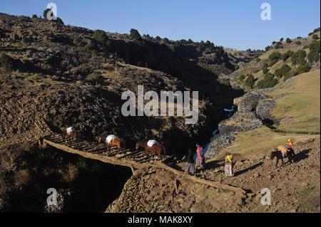 Muslimische Frauen zurück Home nach dem Besuch der lokalen Wochenmarkt. Sie sind über eine Brücke im Bale Mountains Nationalpark (Äthiopien) Stockfoto