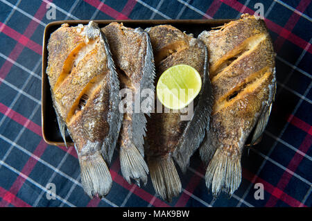 Gebratene Fische, getrocknet, gesalzen Dirne serverkonsolidierungsbeurteilung mit Zitrone im thailändischen Stil. Stockfoto