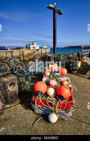 Hummer Töpfe und schwimmt auf dem Kai von Douglas Hafen Stockfoto