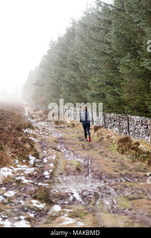 Eine Frau auf einem matschigen Waldweg bei kaltem Wetter laufen Stockfoto