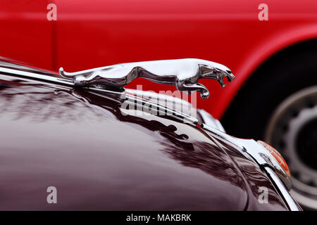 Jaguar Leaping Cat Motorhaube Maskottchen oder Kühlerfigur. Das Symbol und Logo von Jaguar Cars. Stockfoto