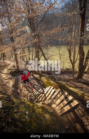 Ein Mountainbiker Fahrten entlang der Spur in Capital View Park, in Frankfort, KY. Stockfoto