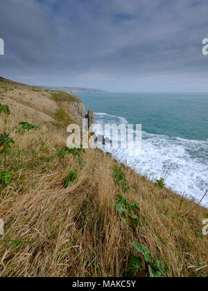 St Albans oder St Aldhelms Kopf, Jurassic Coast, Purbeck, Dorset, Großbritannien Stockfoto
