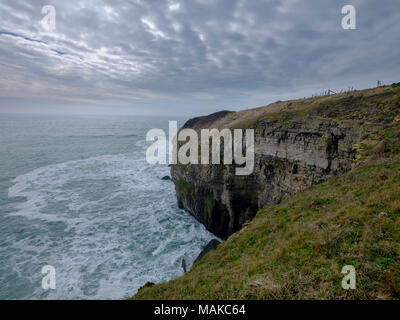 St Albans oder St Aldhelms Kopf, Jurassic Coast, Purbeck, Dorset, Großbritannien Stockfoto