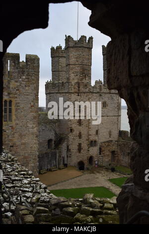 Caernafon Castle's Eagle Tower Stockfoto