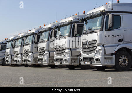 BURG / Deutschland - 11. Juni 2017: Deutsche Mercedes Benz Actros LKW Spedition Firma Neumann steht in einer Reihe. Stockfoto