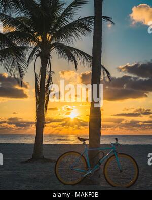 Bike auf dem Palm bei Sonnenaufgang Stockfoto