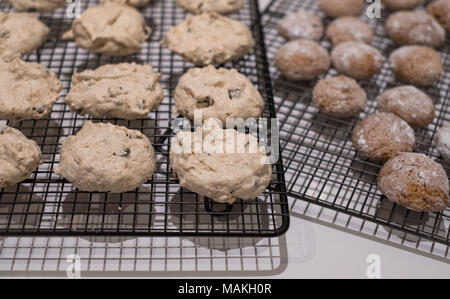 Pessach (Pessach) Backen - coconut Baiser Plätzchen und Zimt Kugeln in Puderzucker bestäubt, am Draht Fach vorgestellt Stockfoto