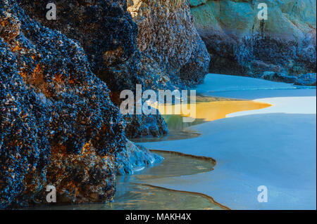 Mussel fallenden Felsen kunstvoll durch Wasser und Sand scharfkantig, bei Ebbe eine Arcadia Strand südlich von Cannon Beach an der Küste von Oregon. Stockfoto