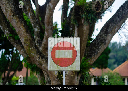 Stoppschild für Autos auf Hintergrund des großen Baumes. Es ist von Hand gezeichnet Stockfoto