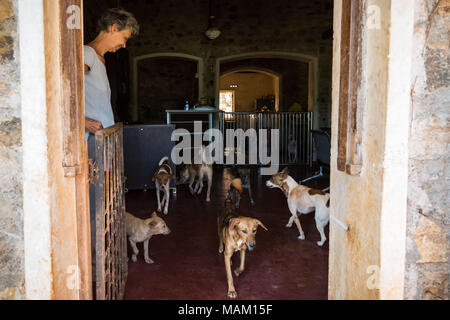 Kandy, Sri Lanka. 21 Feb, 2018. EVA RUPPEL öffnet ihre Tür auf ihr ländliches Anwesen in der Nähe von Kandy, Sri Lanka, am Mittwoch, 21. Februar 2018. Ruppel nicht Käfig die ca. 170 Hunde sie gerettet hat, sodass Sie Freiheit in kleinen Packungen in mehrere Stifte in ihrer Eigenschaft und innerhalb Ihres Hauses zu interagieren. Ruppel erstellt Tikiri Vertrauen, mit der finanziellen Unterstützung ihres Vaters, zu retten und rehome Sri Lanka's Street Dogs. Es ist unmöglich, Sri Lanka, ohne zu sehen, Street Dogs in fast jedem öffentlichen Raum zu besuchen, in der Nähe von Hotels, Pensionen und Restaurants, Schulen, Büros, m Stockfoto