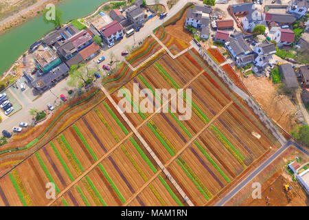 Nanjing, Nanjing, China. 2 Apr, 2018. Nanjing, China - 2. April 2018: Tulpen blühen in Nanjing in der chinesischen Provinz Jiangsu. Credit: SIPA Asien/ZUMA Draht/Alamy leben Nachrichten Stockfoto