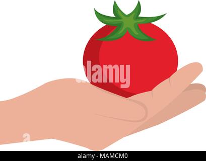 Hand lifting Tomaten Gemüse gesunde Ernährung Vector Illustration Design Stock Vektor