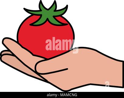 Hand lifting Tomaten Gemüse gesunde Ernährung Vector Illustration Design Stock Vektor