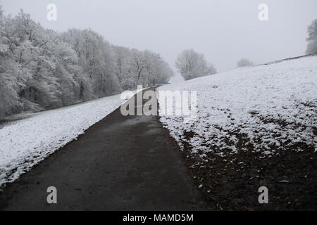 Rand der Wälder, schneebedeckte Felder und Bäume, Pfad, Winter, Schwarzwald Stockfoto