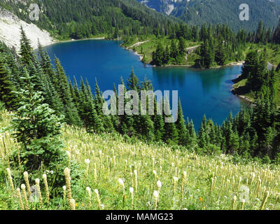 Eunice See bei Mt Rainier NP in WA Stockfoto