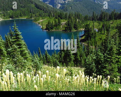 Eunice See bei Mt Rainier NP in WA Stockfoto