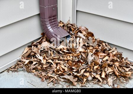 Tote Blätter blockieren den Boden einer Dachrinne auf einem Wohnhaus, USA Stockfoto