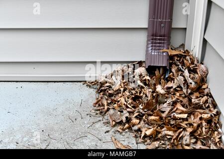 Tote Blätter blockieren den Boden einer Dachrinne auf einem Wohnhaus, USA Stockfoto