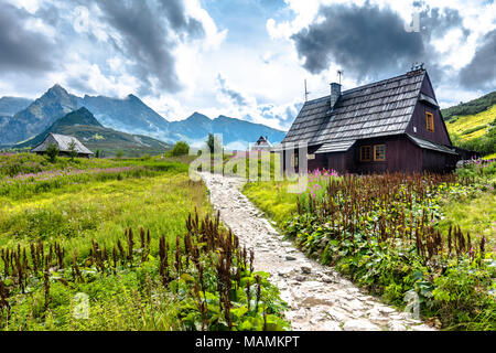 Berg Wanderweg in Tatra, Sommer Landschaft Stockfoto